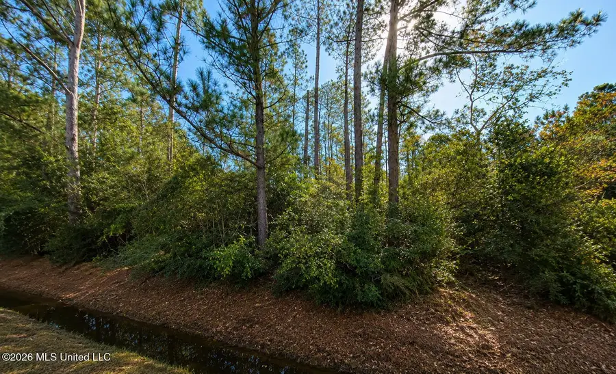 Tyler Street, Waveland, MS 39576 - #2
