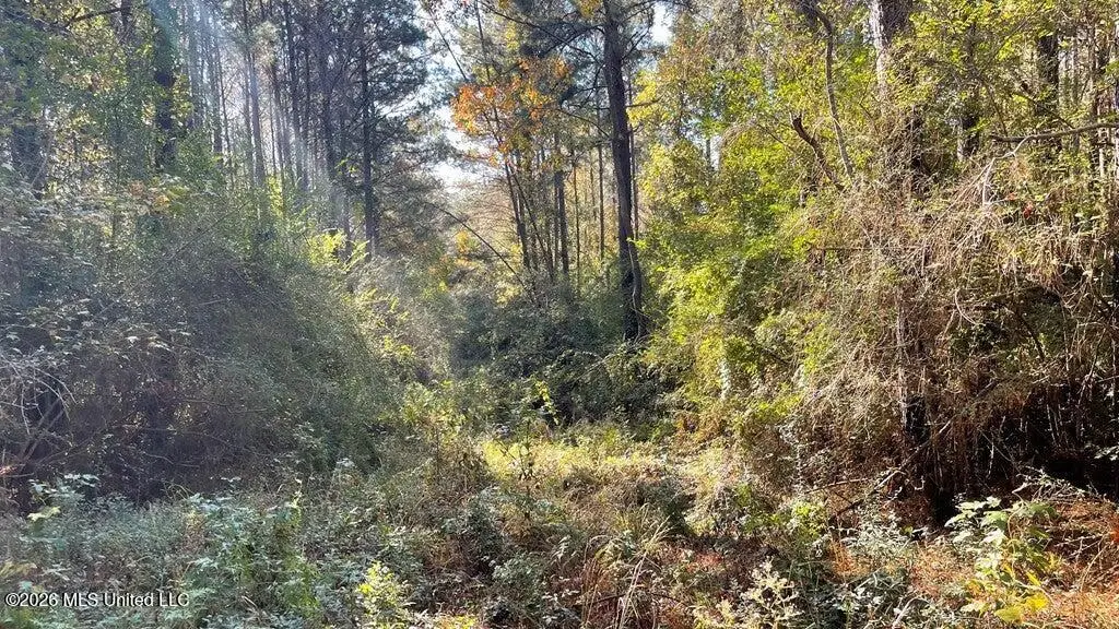Delaware Avenue, McComb, MS 39648 - #1
