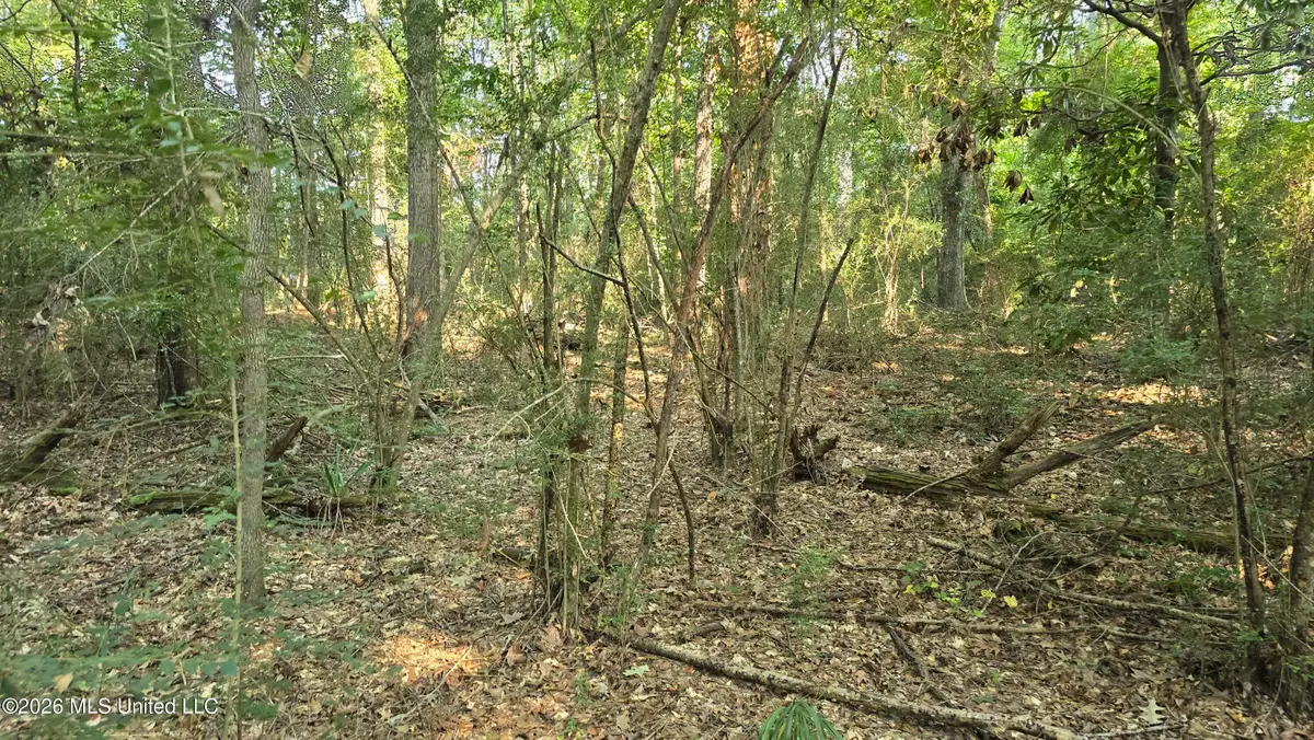 Carolina Street, Roxie, MS 39661 - #1