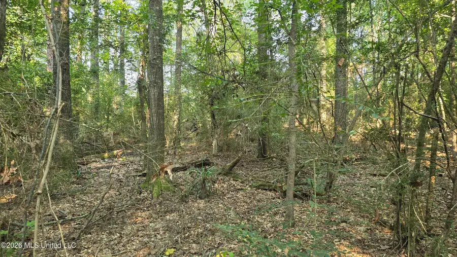 Carolina Street, Roxie, MS 39661 - #3