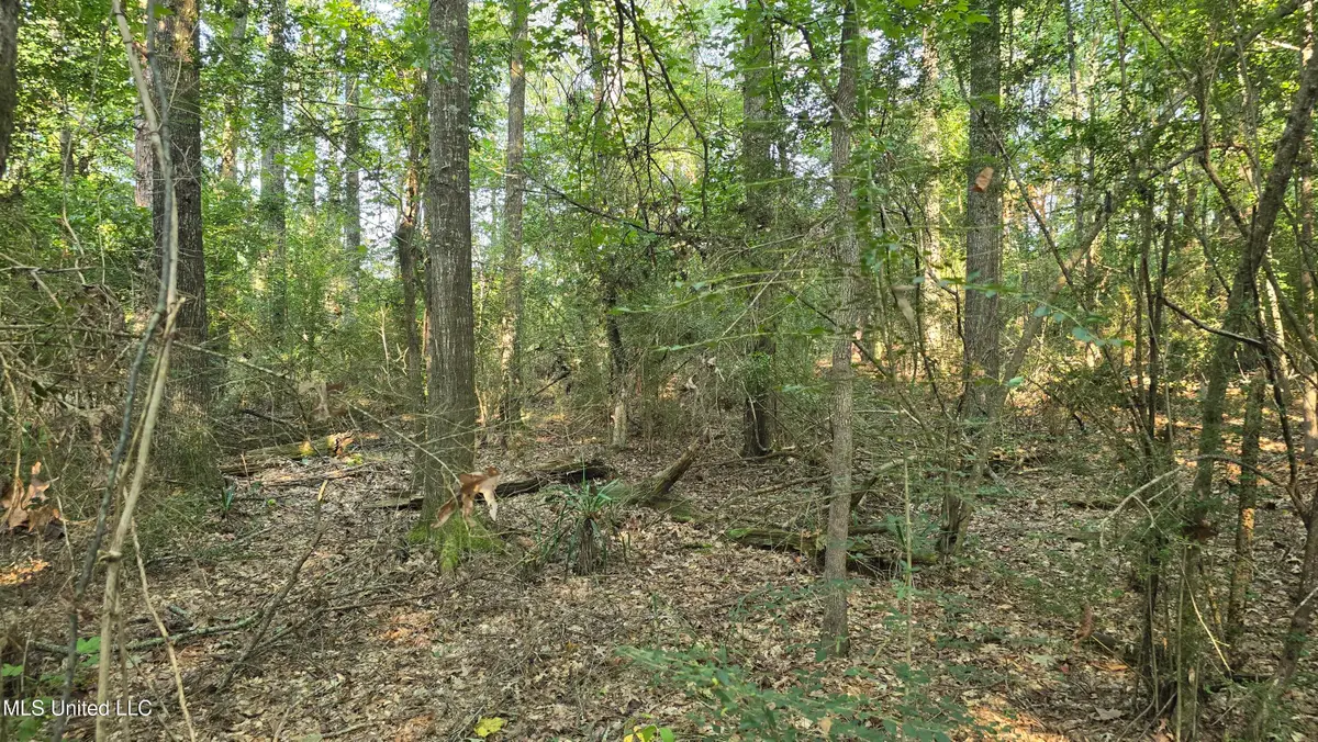 000 Alabama Street, Roxie, MS 39661 - #1