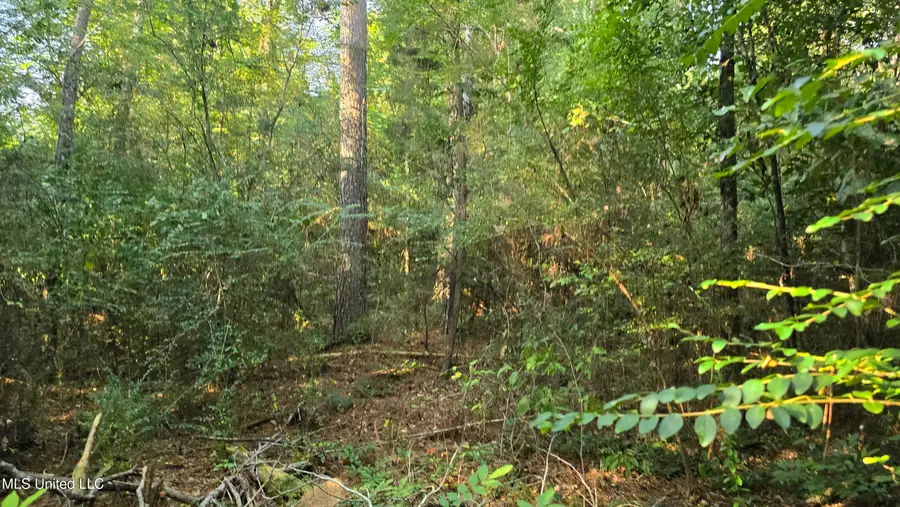 000 Alabama Street, Roxie, MS 39661 - #3