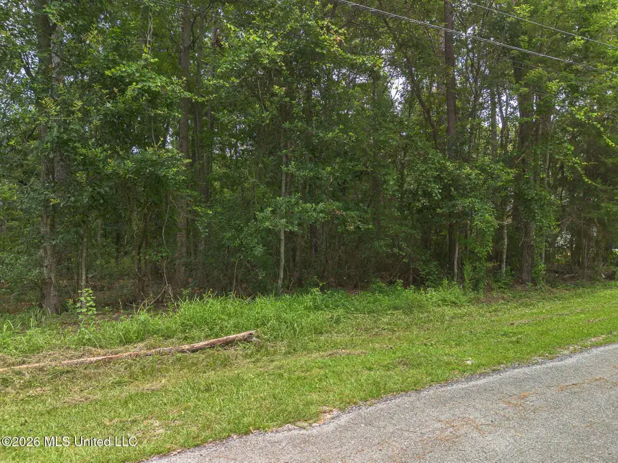 Lot 11 Green Thumb Drive, Biloxi, MS 39532 - #3