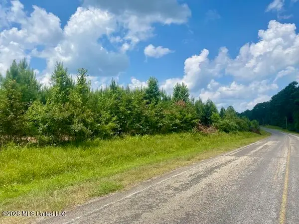 County Line Road, Summit, MS 39666