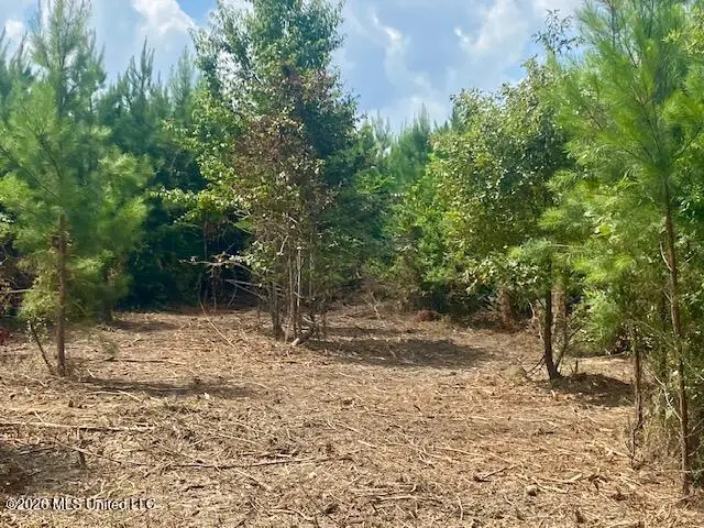 County Line Road, Summit, MS 39666 - #2