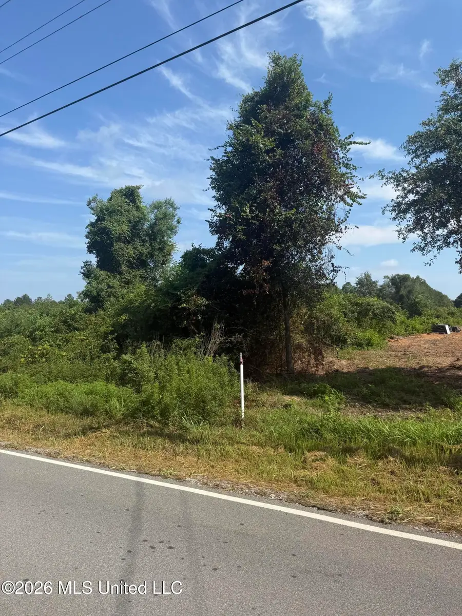 Davis Sawmill Road, Lucedale, MS 39452 - #2