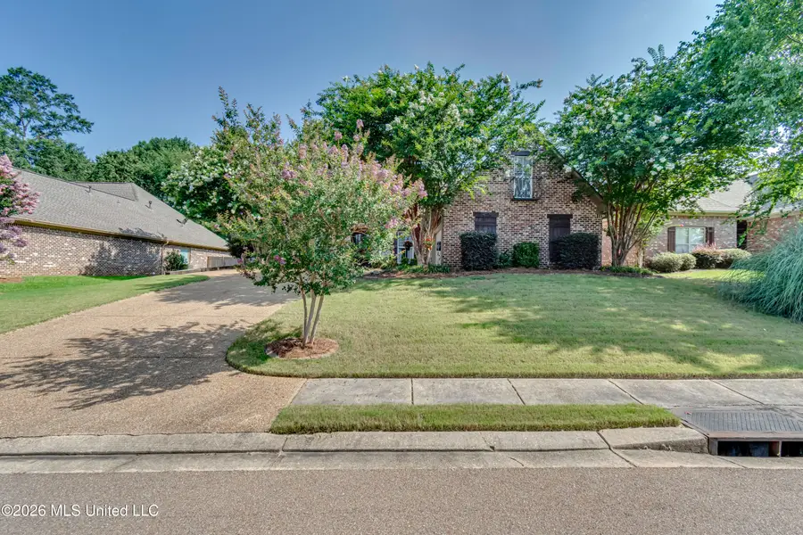 113 Turtle Ridge Drive, Brandon, MS 39047 - #2