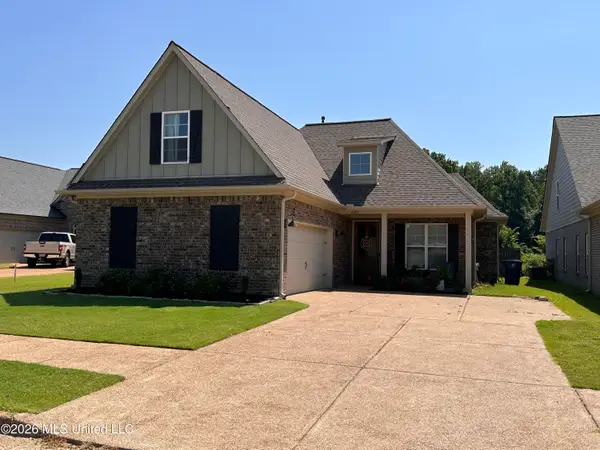2204 Watson View East, Nesbit, MS 38651