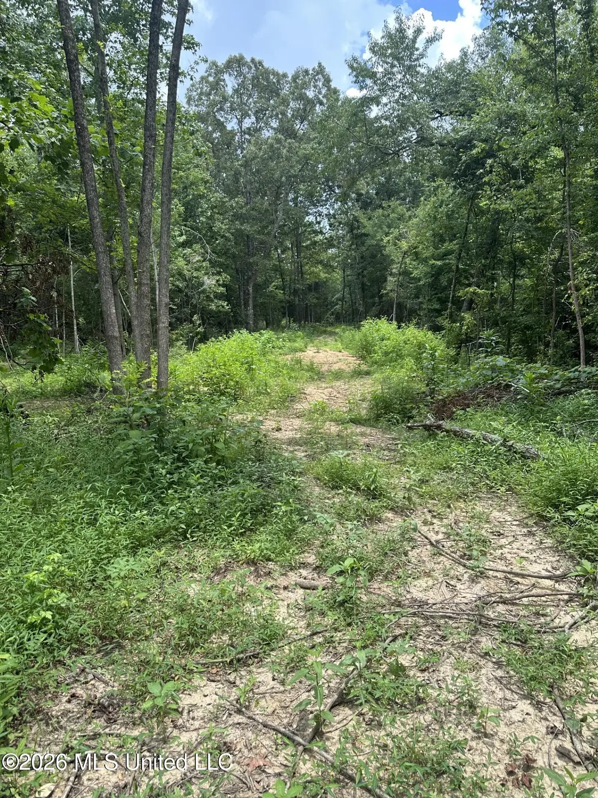 Gravel Springs Road, Senatobia, MS 38668 - #1