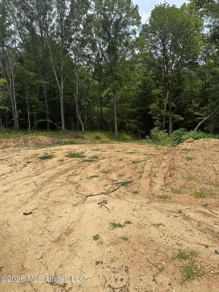 Gravel Springs Road, Senatobia, MS 38668 - #2