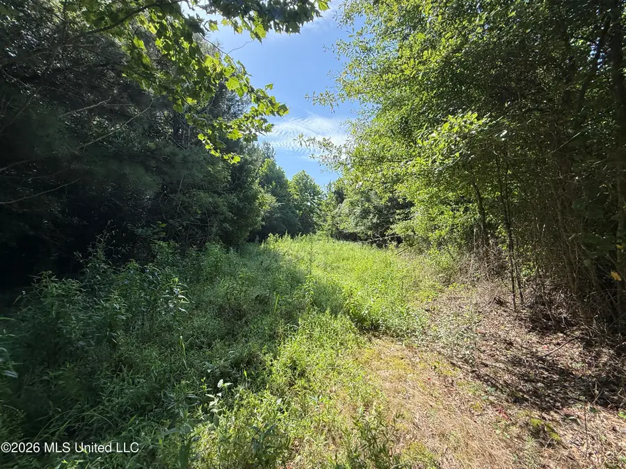 Winfry Road, Kilmichael, MS 39747 - #3