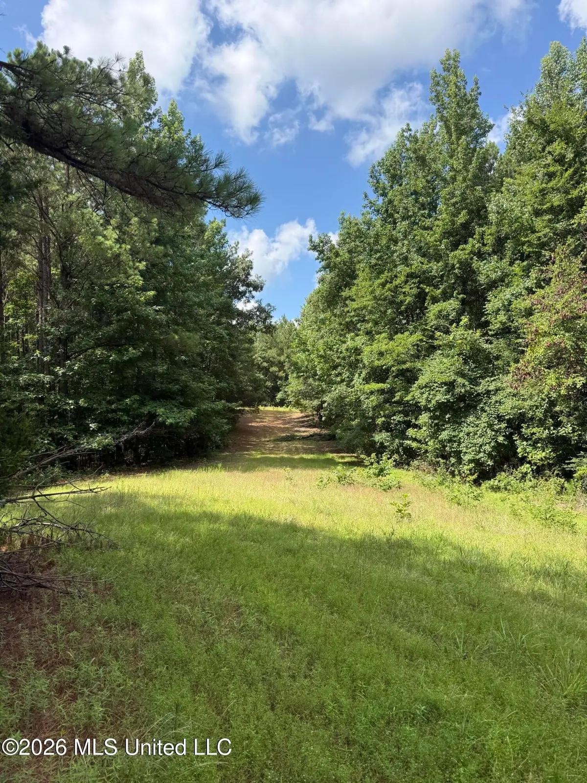 Highway 407, Kilmichael, MS 39747 - #1
