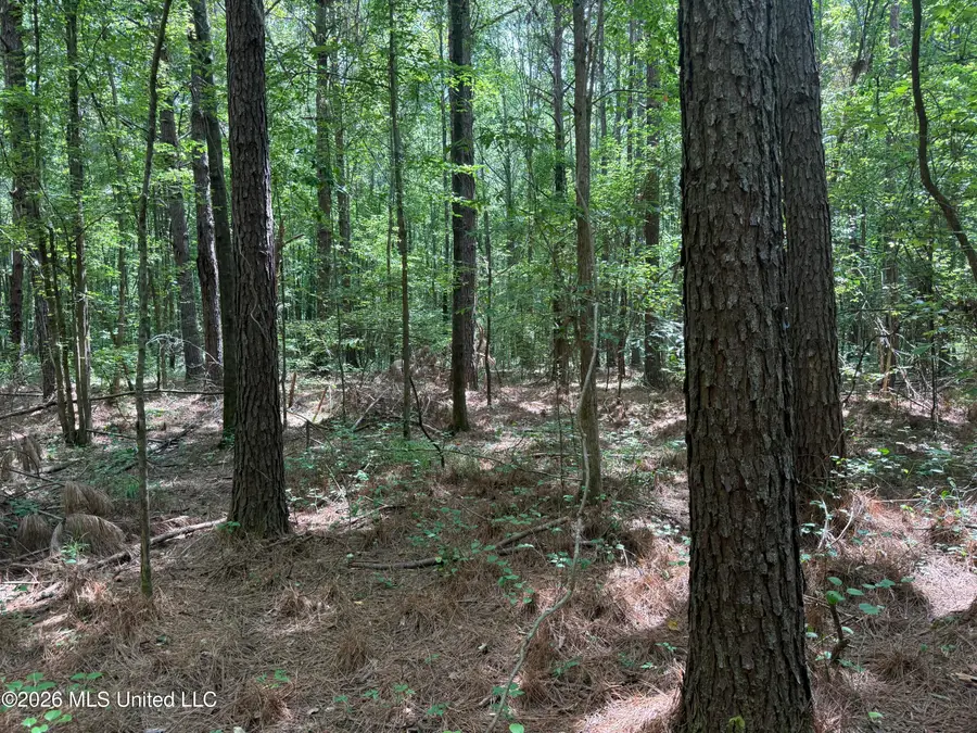 Highway 407, Kilmichael, MS 39747 - #3