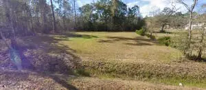 Walnut Drive, Pearlington, MS 39572 - #1