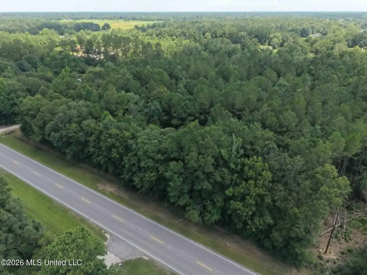 S Highway 43, Picayune, MS 39466 - #1