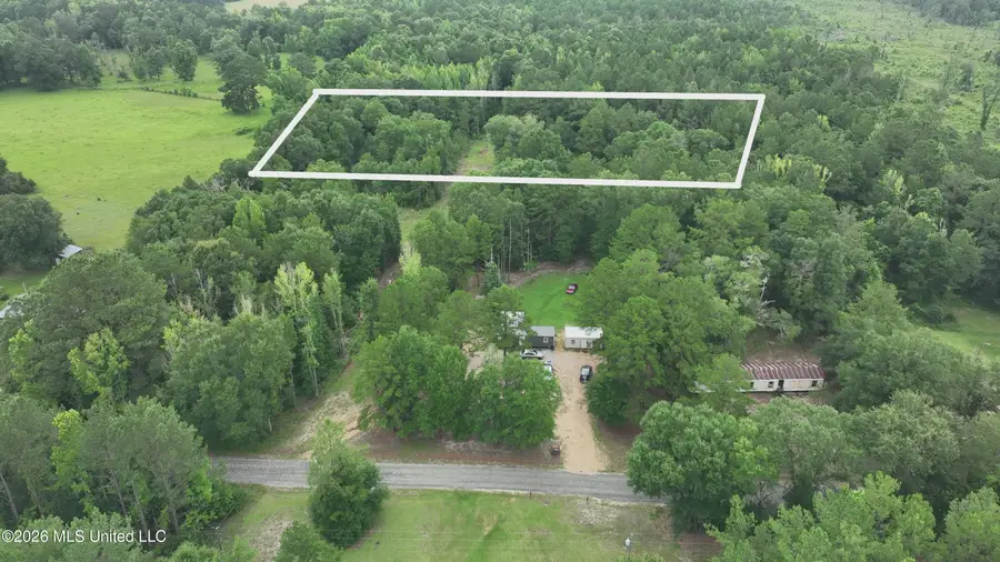 Will Alexander Road, Columbia, MS 39429 - #3