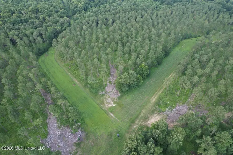Woodlawn Road, Woodville, MS 39669 - #3