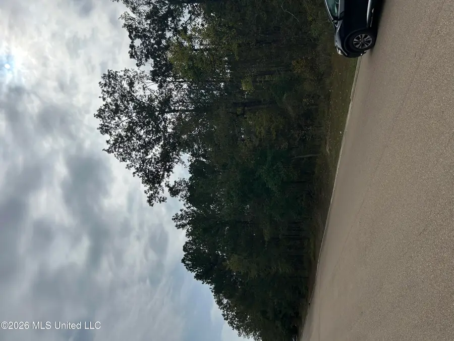 Old Fannin Road, Brandon, MS 39047 - #2