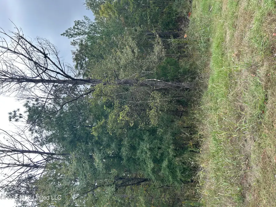 Old Fannin Road, Brandon, MS 39047 - #3