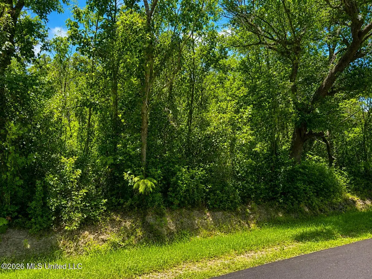 11011 Heron Street, Bay Saint Louis, MS 39520 - #1