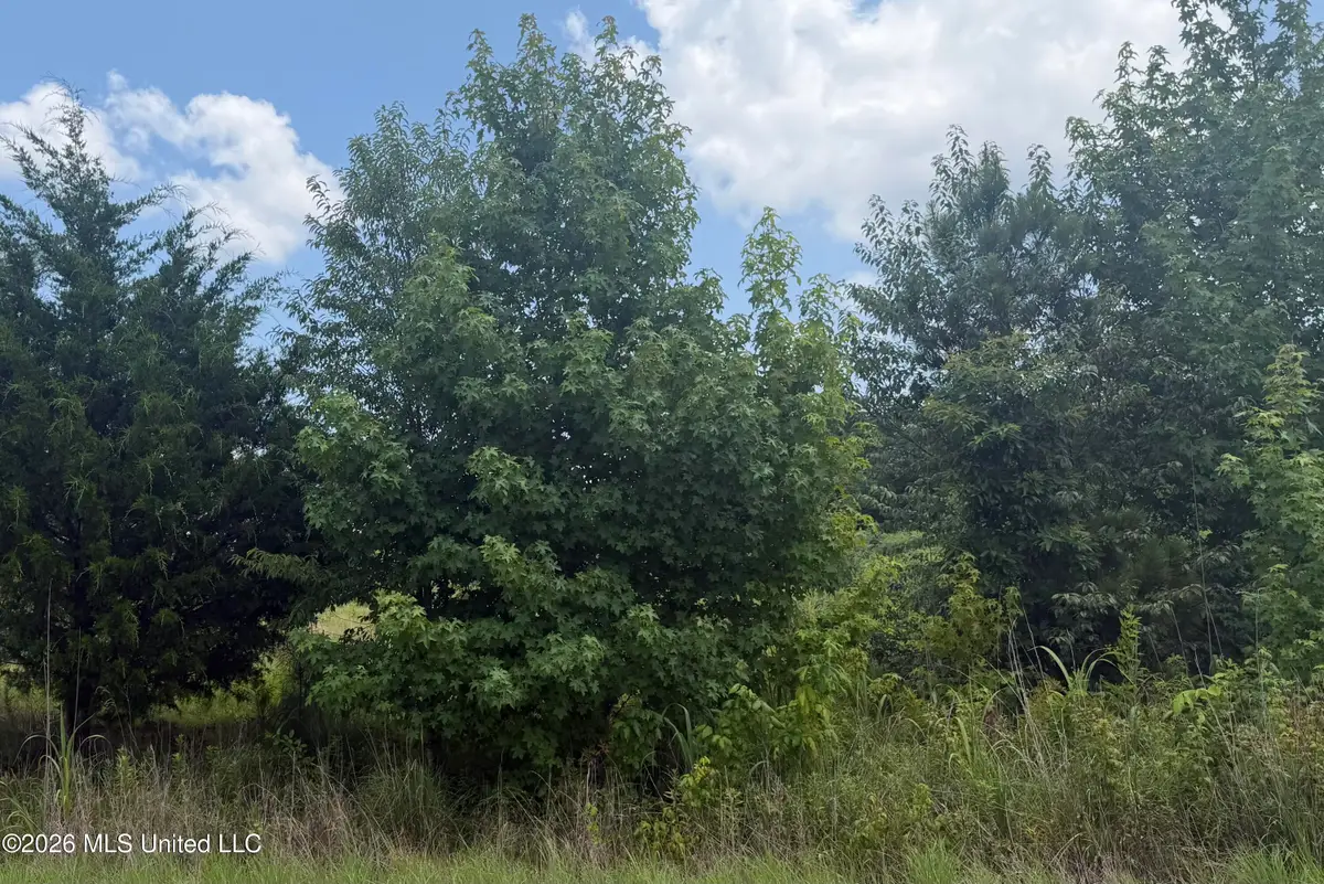 0 Kyle Road, Senatobia, MS 38668 - #1