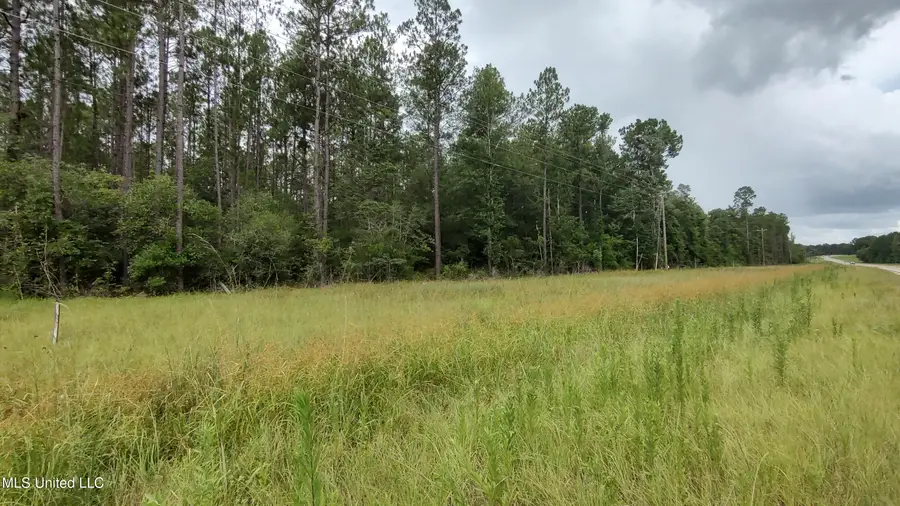 Mississippi 43 N, Picayune, MS 39466 - #3