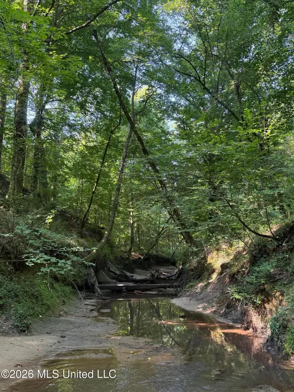 Monte Vista Road, Eupora, MS 39744