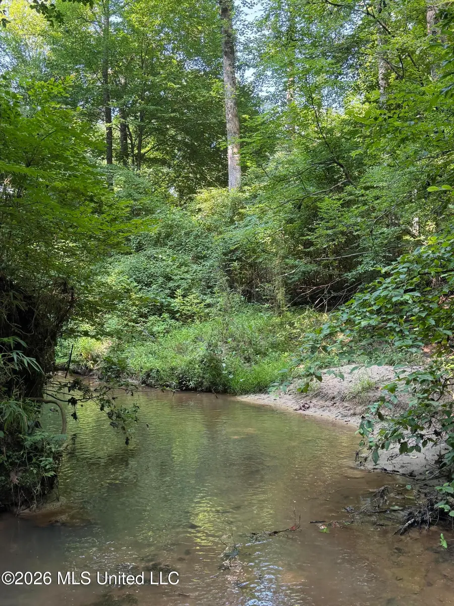 Monte Vista Road, Eupora, MS 39744 - #2