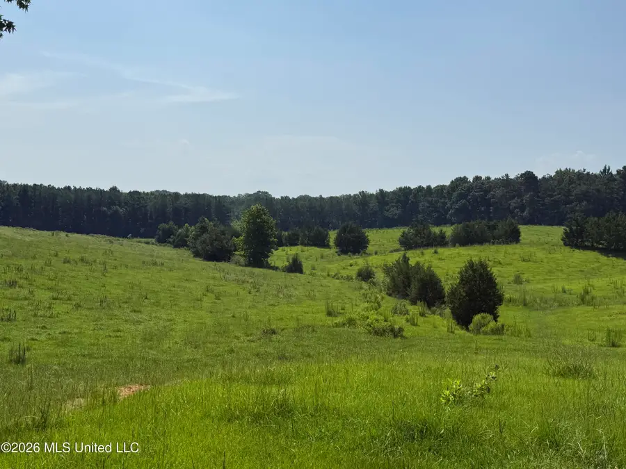 Monte Vista Road, Eupora, MS 39744 - #3