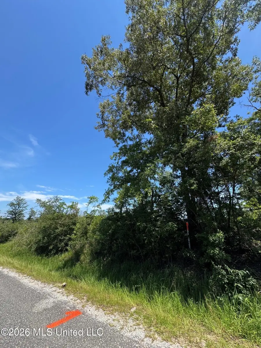 1 Dubose Road, Lumberton, MS 39455 - #2