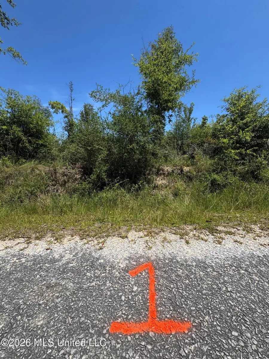 1 Dubose Road, Lumberton, MS 39455 - #3