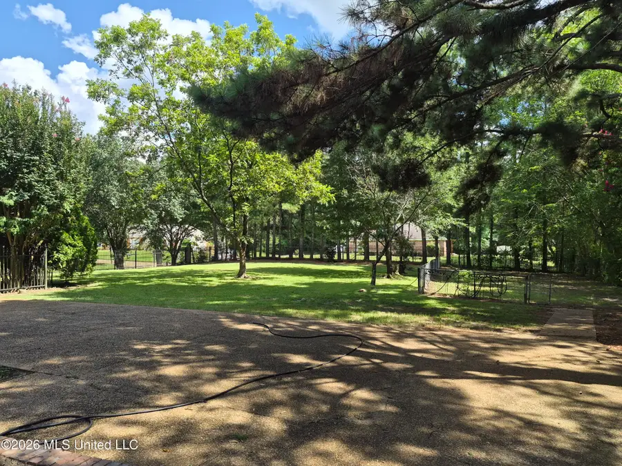6313 Cedarwood Drive, Jackson, MS 39213 - #3