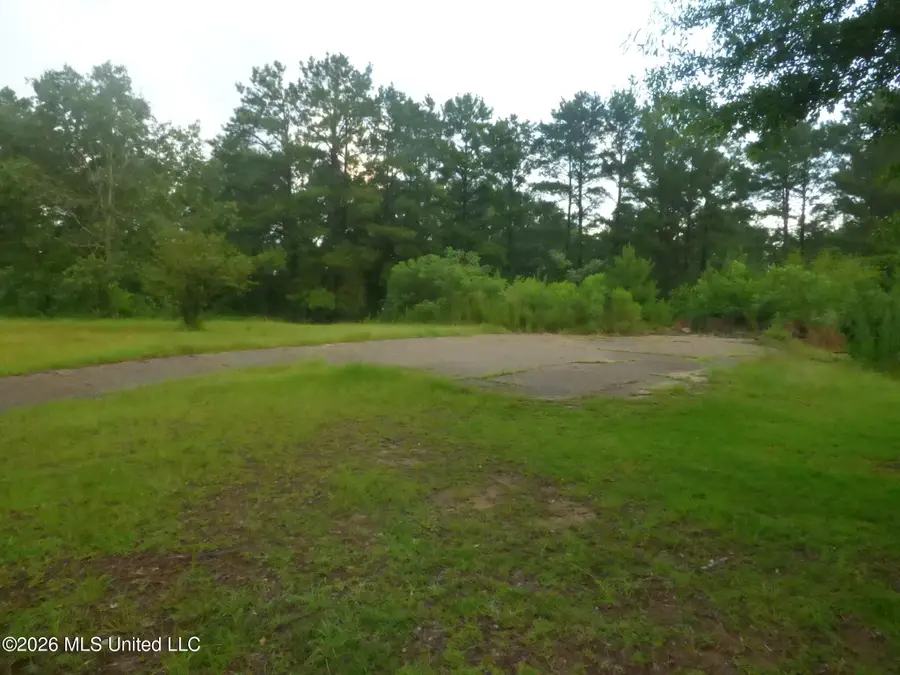 967 SE Bogue Chitto Road, Bogue Chitto, MS 39629 - #3