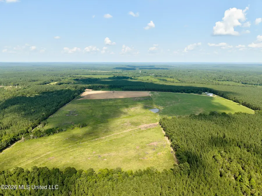 79 County Road 2349, Louin, MS 39338 - #2