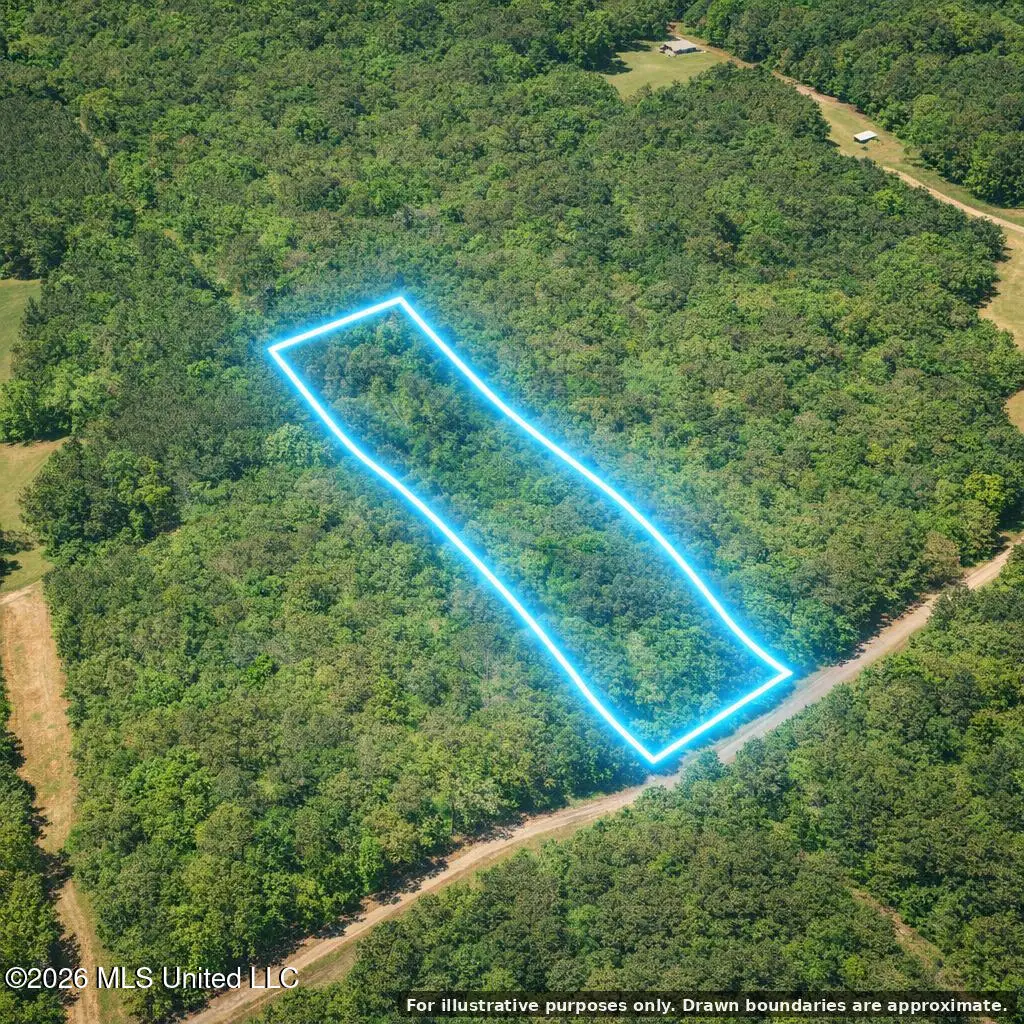 Shady Grove Trail, Prentiss, MS 39474 - #1