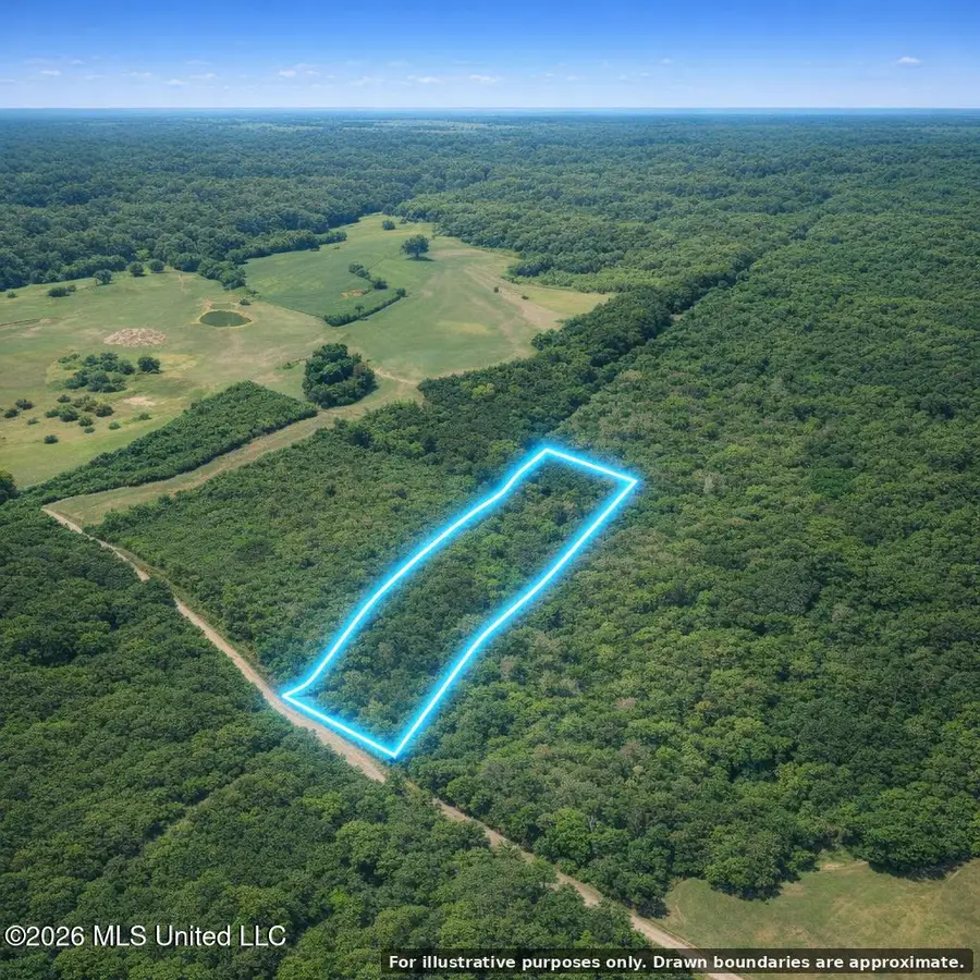 Shady Grove Trail, Prentiss, MS 39474 - #2