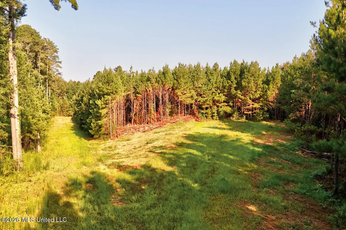 NW Ben Briggs Road, Roxie, MS 39661 - #1