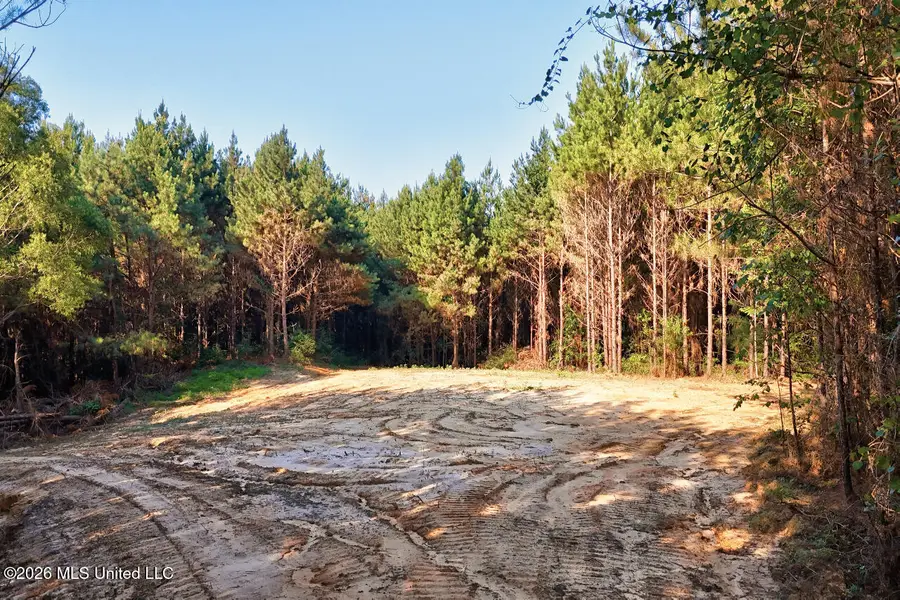 NW Ben Briggs Road, Roxie, MS 39661 - #3