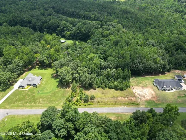 Summer Oaks Drive, Lamar, MS 38642