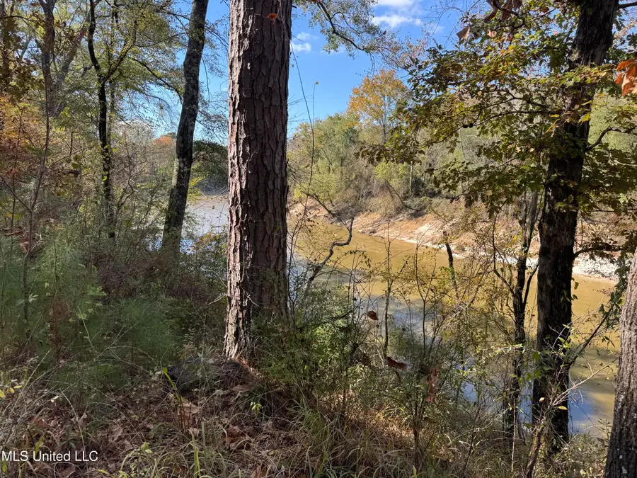 Rosemary Road, Florence, MS 39073 - #2