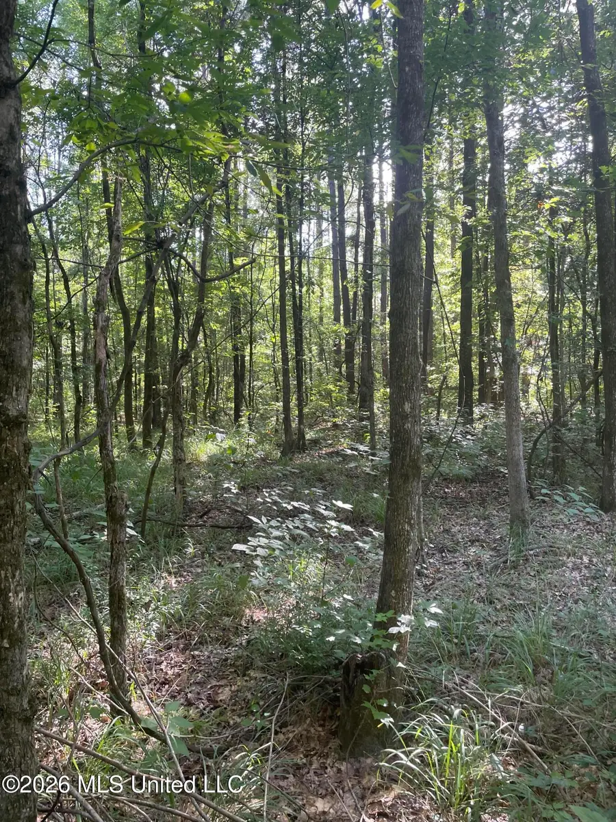 444 Jims Road, Lena, MS 39094 - #2