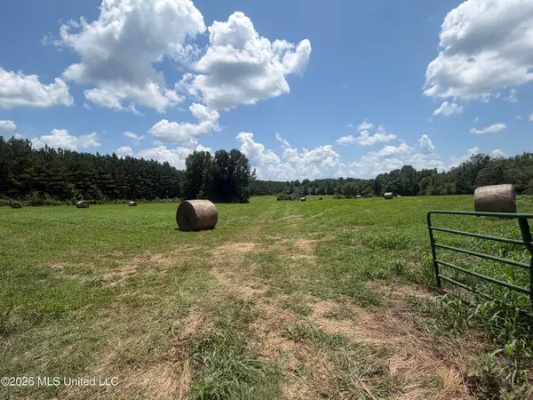00 Graves Road, Holly Springs, MS 38635