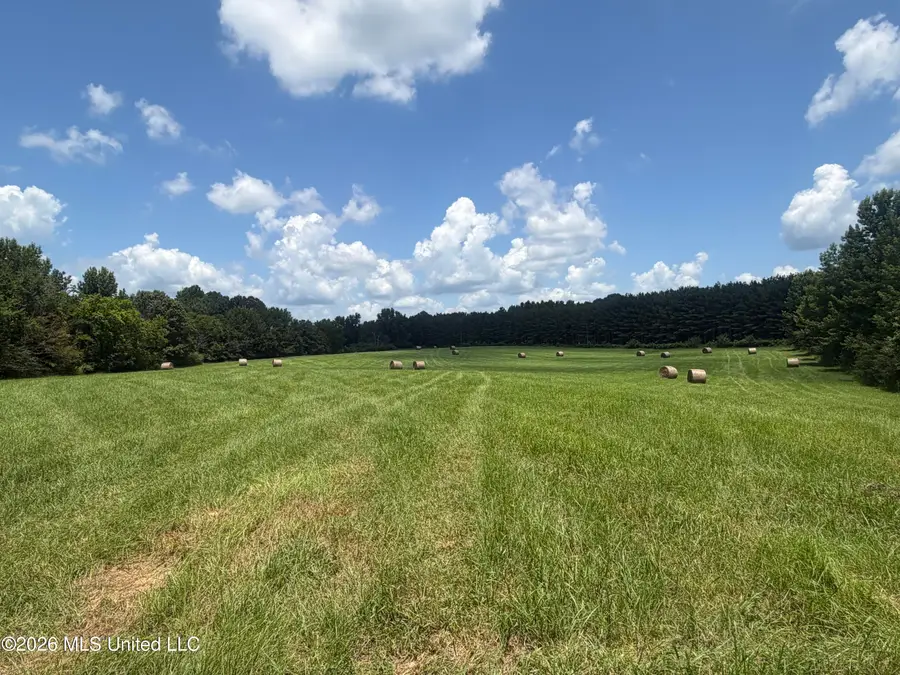 00 Graves Road, Holly Springs, MS 38635 - #2