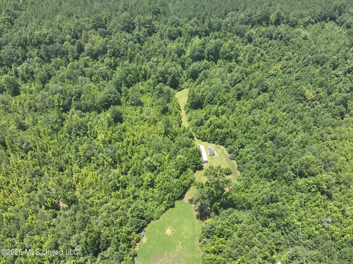 000 Mississippi 43, Carthage, MS 39051 - #1