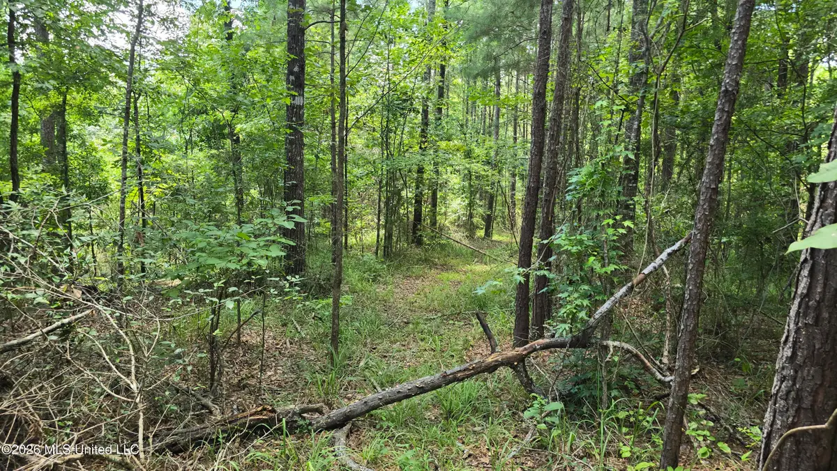 . Neal Posey Road, McCall Creek, MS 39647 - #1
