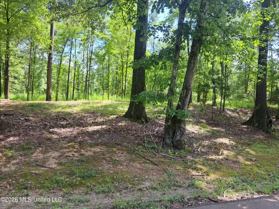 12 Oaks Trace, Canton, MS 39046 - #3