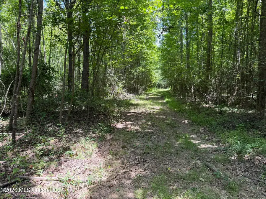 4267 Race Track Road, West, MS 39192 - #2