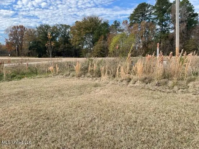N Old Canton Road, Canton, MS 39046 - #1