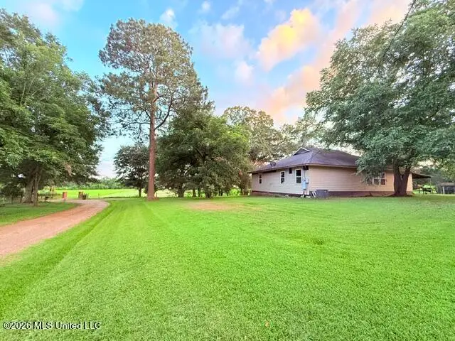25 Wes Dillon Road, Tylertown, MS 39667 - #1