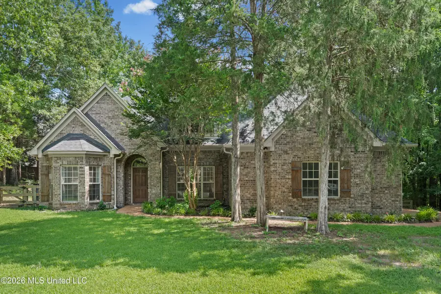 8019 Betty Browning Pass, Olive Branch, MS 38654 - #2